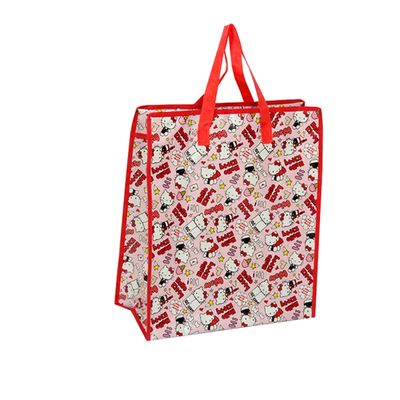 Printing Side Pp Woven Bag with Customized Design from 20 Years History