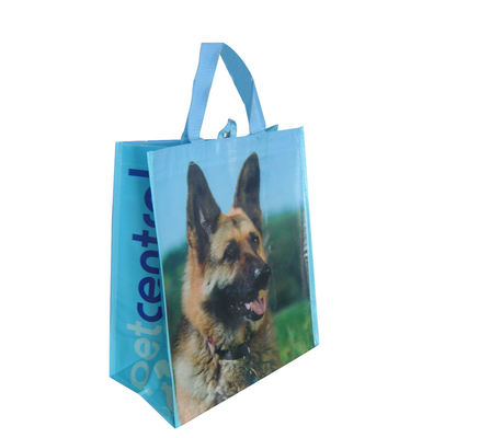 Merchandise Non Woven Pp Woven Shopping Bags With Logos Laminated