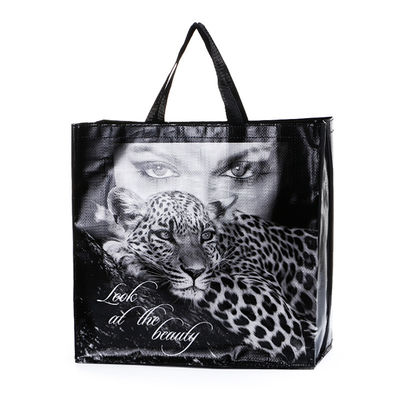 Reusable Folding Polypropylene Pp Non Woven Shopping Bag Laminated