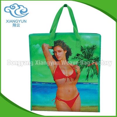 Foldable Reusable PP Woven Shopping Bag Pp Non Woven Shopping Bags With Zip