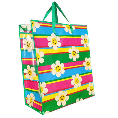 Cmyk Or Panton Color Grocery Shopping Bag 20kg Reusable Shopping Bags