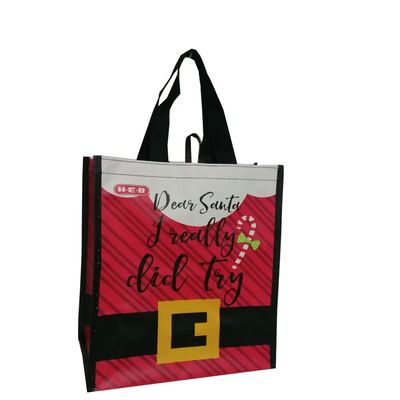 Customized Printing Custom Shopping Bags For Everyday Occasions