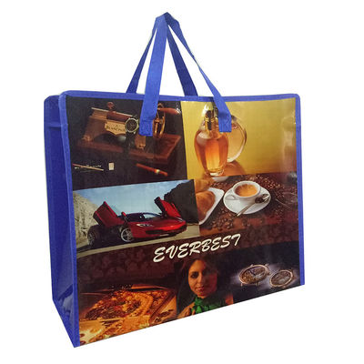 Printing Customized Logo Or Design Reinforced Handles Custom Plastic Shopping Bag