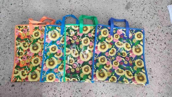 Customized Printing Biodegradable Plastic Shopping Bags Reusable Eco Friendly for Environmentally Friendly Shopping